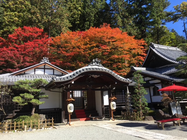 醫王霊山 温泉寺のイメージ画像