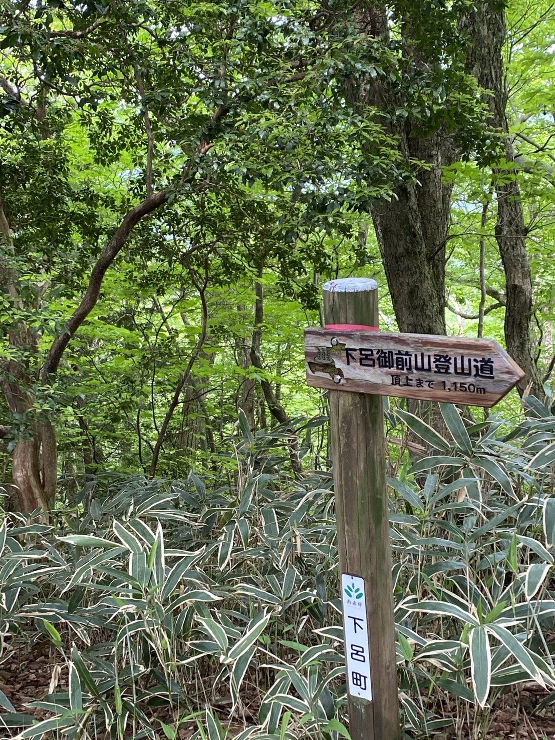 下呂御前山登山をお楽しみください。