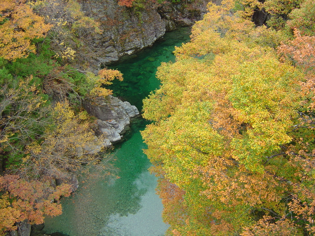 付知峡の紅葉