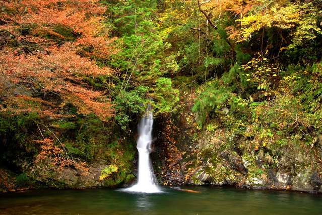 横谷峡の紅葉